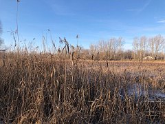 Депутат облдумы Иван Бабошкин посетил Ершовский район