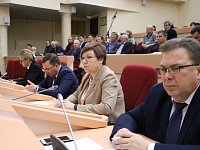 Глава Ершовского района Светлана Зубрицкая приняла участие в депутатских слушаниях облдумы