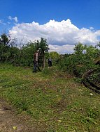 Сельский субботник: жители ершовского села вместе привели кладбище в порядок