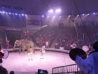 Поездка ершовцев в цирк: день, наполненный волшебством и улыбками