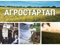 От полутора до семи миллионов рублей могут получить жители области на стартапы в агробизнесе