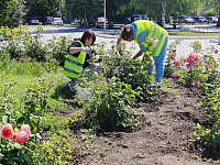 Работы по благоустройству города Ершова продолжаются