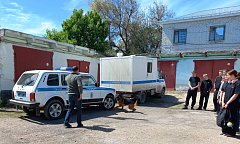 Ершовские полицейские провели профориентационное мероприятие для школьников