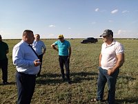 Вопрос биркования КРС в Ершовском районе находится на контроле у министра