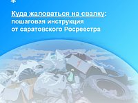 Куда жаловаться на свалку: пошаговая инструкция от саратовского Росреестра