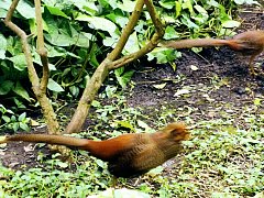 Туристов из Ершова погрузили... «в атмосферу баунти»