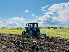 В Ершове МКУ «Благоустройство» продолжает плановую работу по содержанию территории города