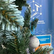 Оказывается, Новый год и цифровые технологии для ершовских школьников вполне совместимы