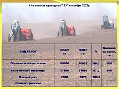 В Ершовском районе собрано более 260 тысяч тонн зерна нового урожая