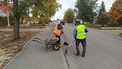 Ершовское «Благоустройство» продолжает системную деятельность по поддержанию чистоты и порядка