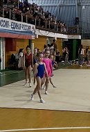 Юные гимнастки из Ершова достойно выступили на областных соревнованиях по художественной гимнастике