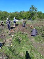Сельский субботник: жители ершовского села вместе привели кладбище в порядок