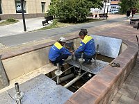 МКУ «Благоустройство» в плановом порядке наводит порядок в Ершове