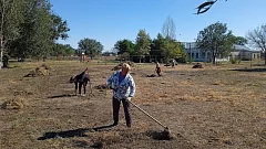 Ершовские сельчане: субботник еще раз показал, как много мы можем сделать, когда действуем сообща