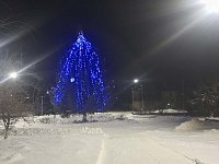 В Ершове зажглась огнями главная елка города