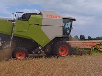 Аграрии намолотили 200 тысяч тонн зерна нового урожая