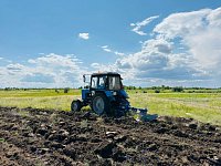 В Ершове МКУ «Благоустройство» продолжает плановую работу по содержанию территории города