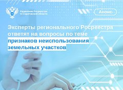 12 декабря в саратовском Росреестре пройдёт «горячая линия»