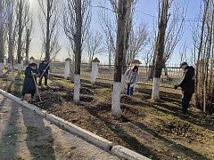 В рамках общеобластного субботника коллектив Ершовского агролицея навел порядок на двух площадках