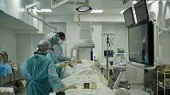 ЭКО и открытие новых региональных сосудистых центров помогают решать вопросы демографии в регионе